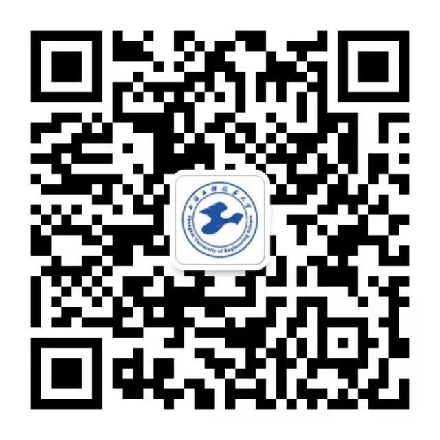 香港最精准马资料大全
