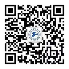香港最精准马资料大全